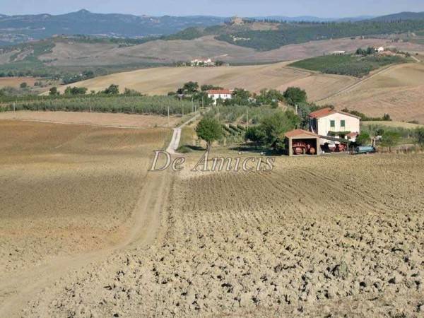 Rustico / casale a Cinigiano in Strada Provinciale Poggi del Sasso - Foto 2