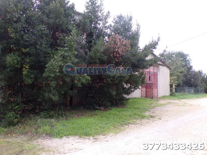 Immobile a Monte san vito in Via Coppo - Foto 2