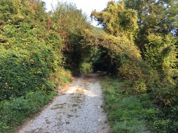 Rustico / casale a Bettola - Foto 2