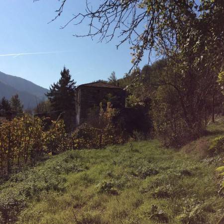 Rustico / casale a Bettola - Foto 4