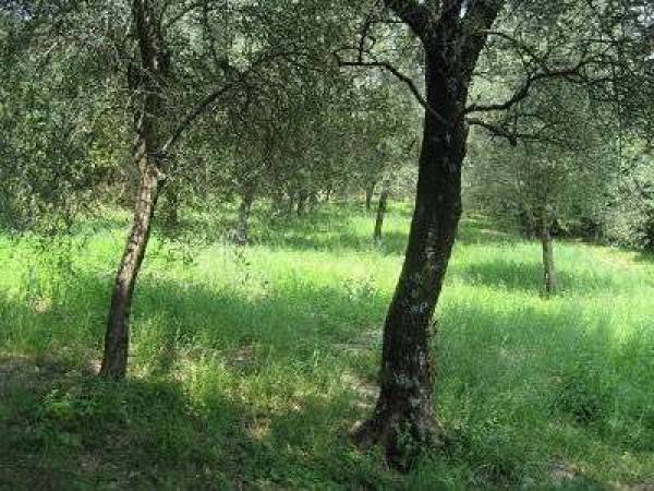 Terreno a Salò - Foto 2