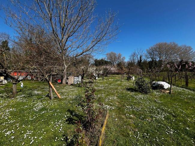 Terreno a Orte in Via del Ponte - Foto 2