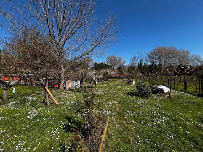 Terreno a Orte in Via del Ponte - Foto 3