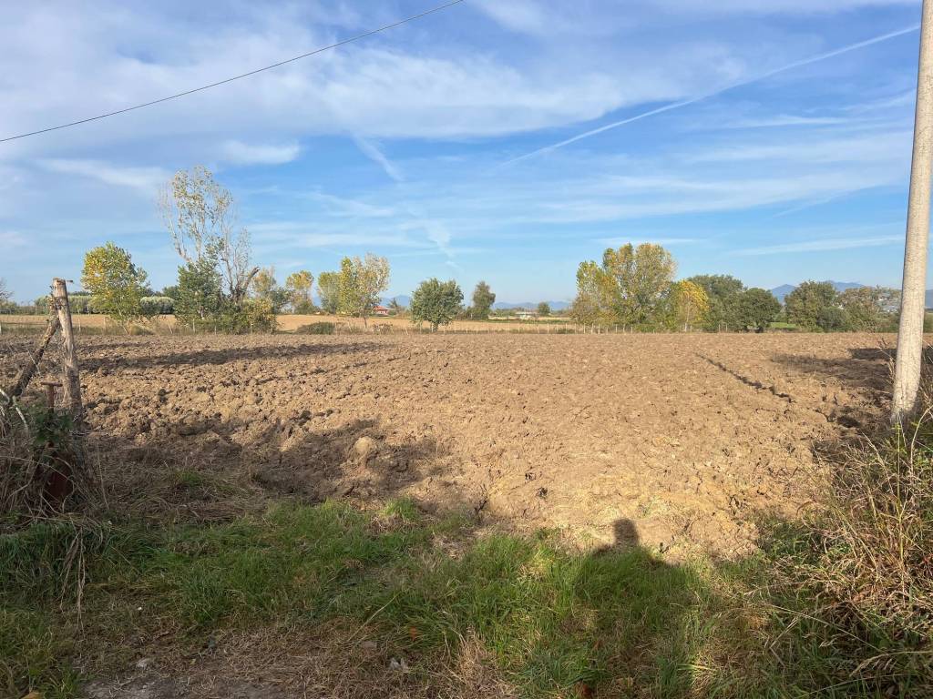 Terreno a Altavilla silentina in Località Scanno - Foto 5