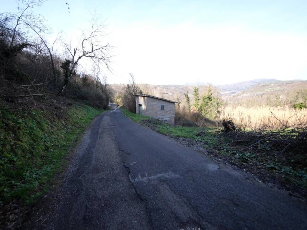 Rustico / casale a Poggio moiano in Via del Fosso - Foto 5