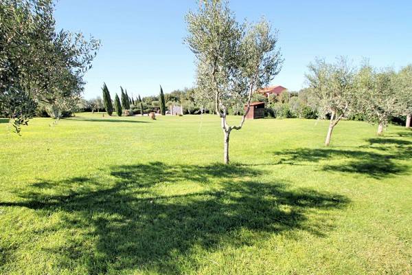Casa indipendente a Montalto di castro in Località Macchia di Matteaccio - Foto 4