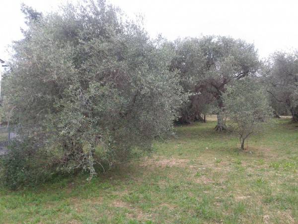 Terreno a Verucchio in Via Marecchiese, 73 - Foto 2
