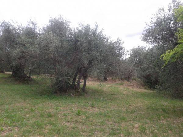 Terreno a Verucchio in Via Marecchiese, 73 - Foto 3