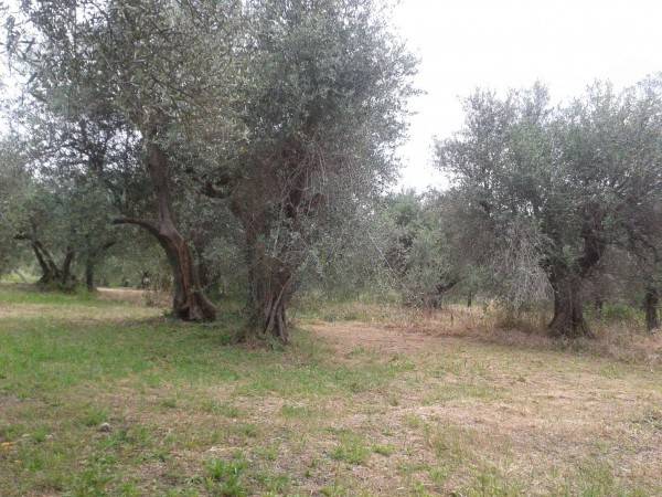 Terreno a Verucchio in Via Marecchiese, 73 - Foto 4