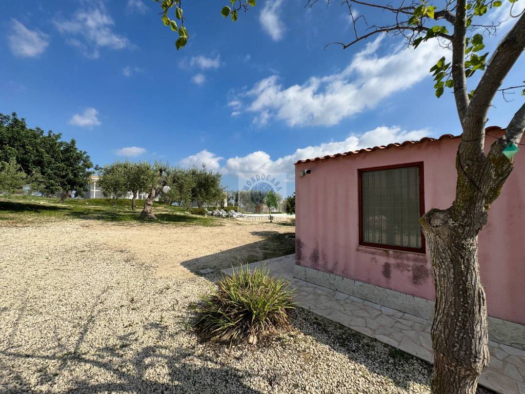 Rustico / casale a Noto - Foto 3