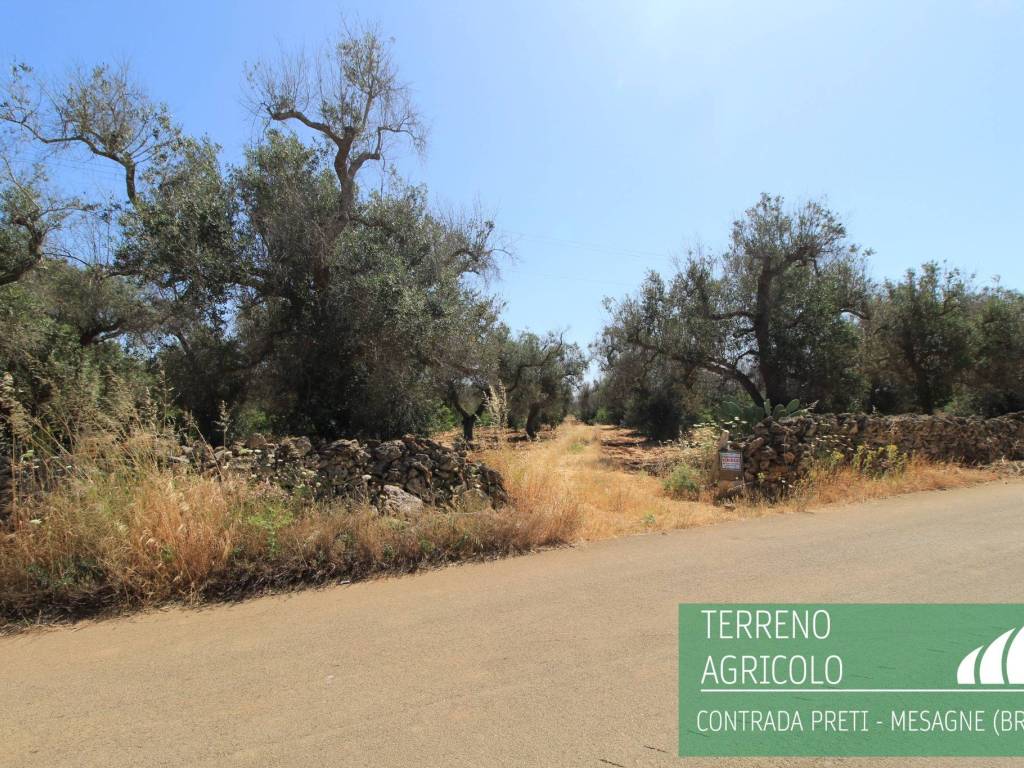 Terreno a Mesagne in Contrada Preti - Foto 2