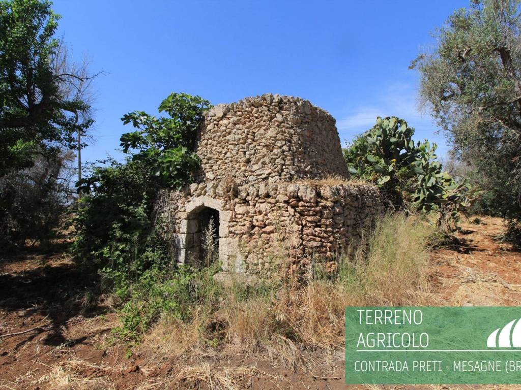 Terreno a Mesagne in Contrada Preti - Foto 3
