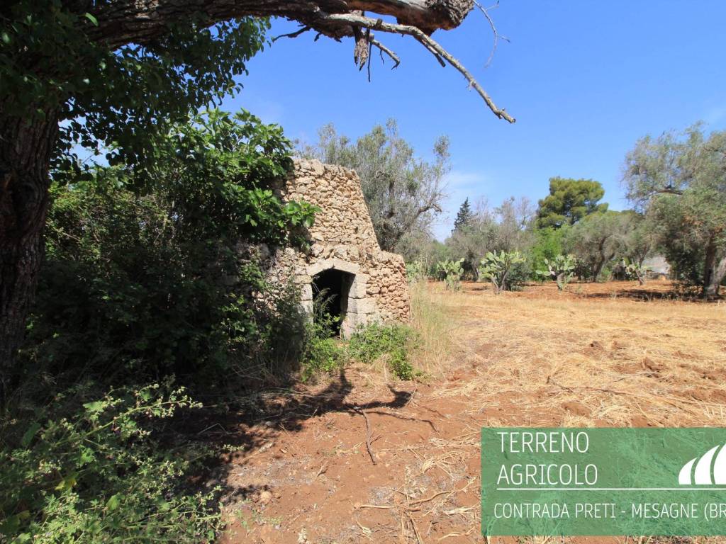 Terreno a Mesagne in Contrada Preti - Foto 4