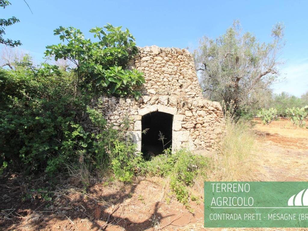 Terreno a Mesagne in Contrada Preti - Foto 5