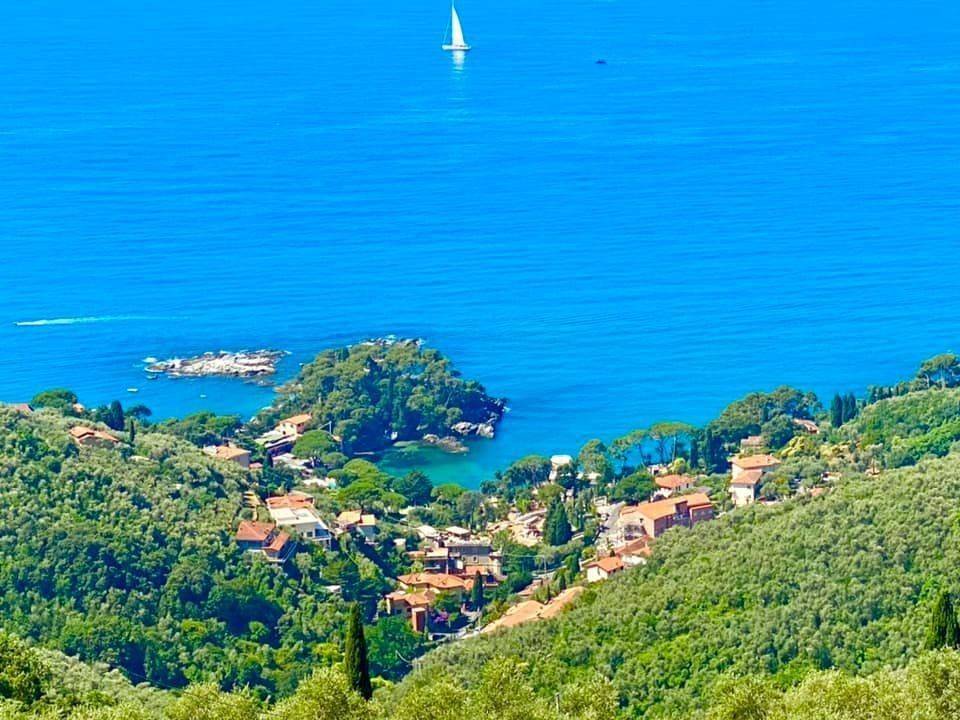 Villa a Lerici - Foto 4