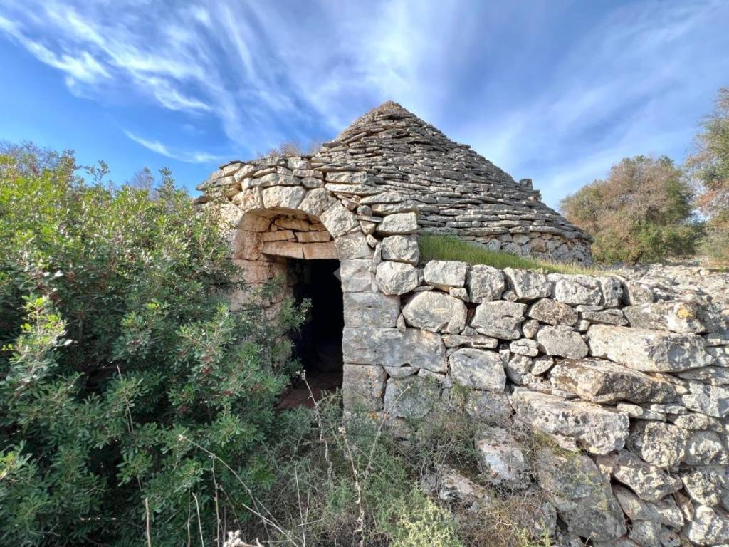 Rustico / casale a Ceglie messapica in Contrada Pezze Sant'Angelo - Foto 3