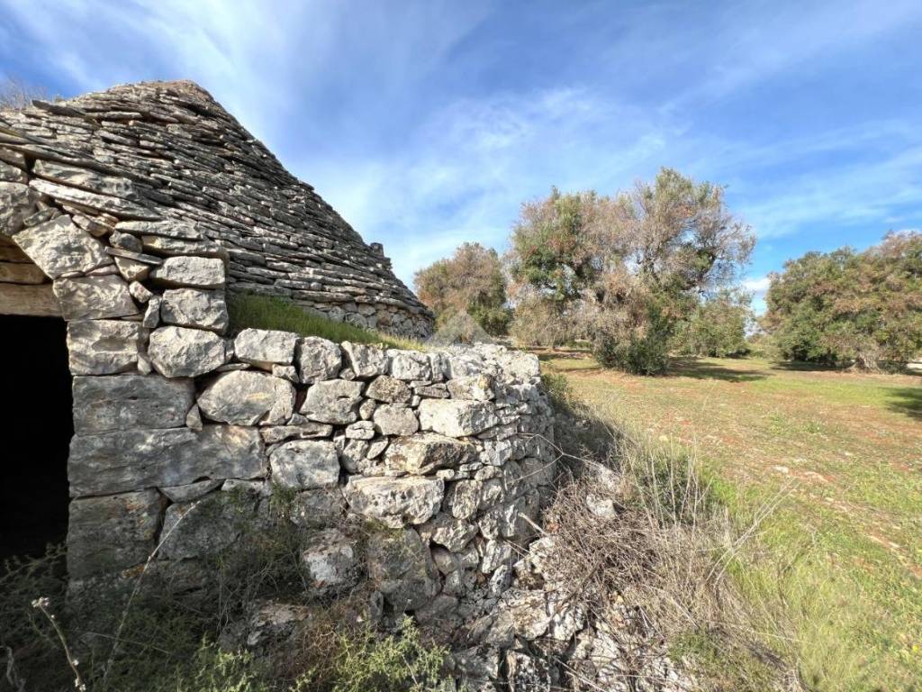 Rustico / casale a Ceglie messapica in Contrada Pezze Sant'Angelo - Foto 4