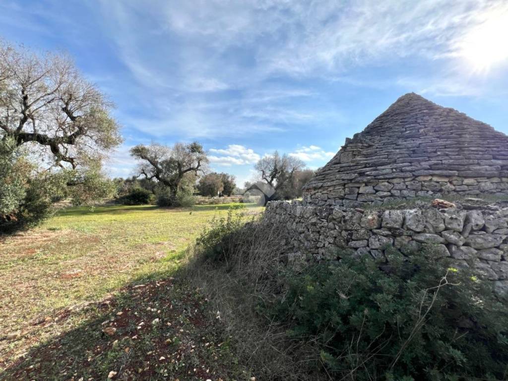 Rustico / casale a Ceglie messapica in Contrada Pezze Sant'Angelo - Foto 5