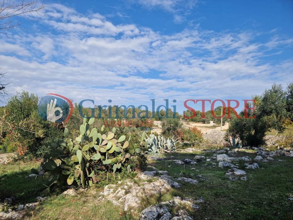 Terreno a Ostuni in SP28, 646 - Foto 4