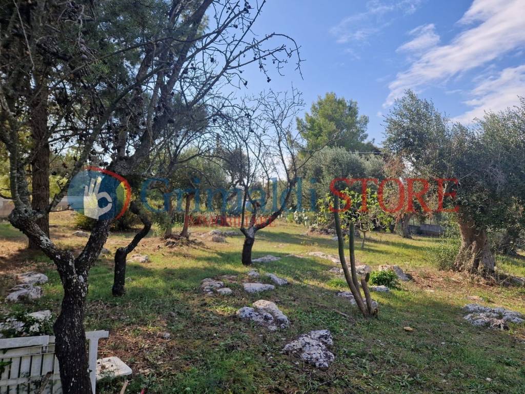 Terreno a Ostuni in SP28, 646 - Foto 5