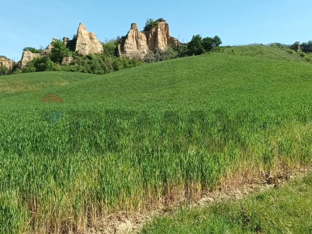 Terreno a Castelfranco piandisco in via acqua zolfina - Foto 2