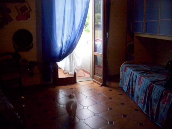 Appartamento a Laterina pergine valdarno in Via Roma - Foto 4