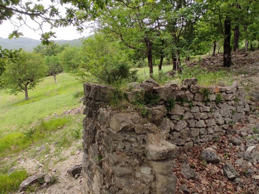 Rustico / casale a Colle di tora in Strada Provinciale Turanese - Foto 3