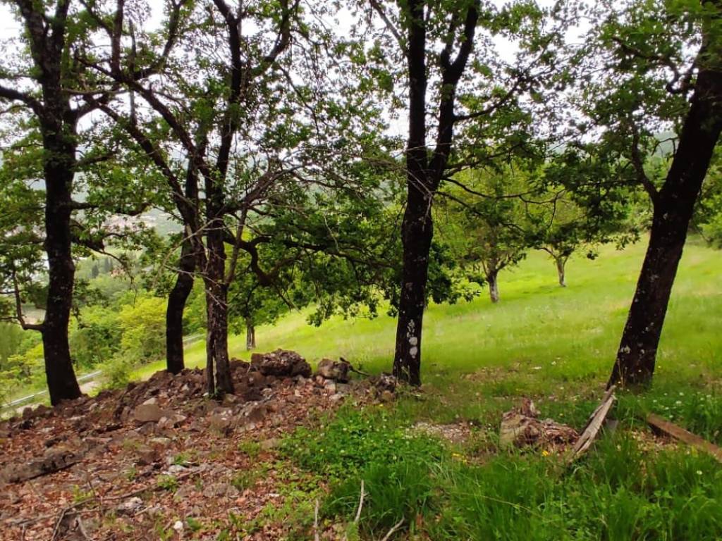 Rustico / casale a Colle di tora in Strada Provinciale Turanese - Foto 5