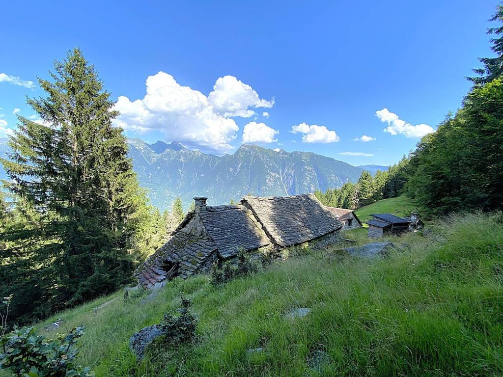Rustico / casale a Crodo - Foto 2