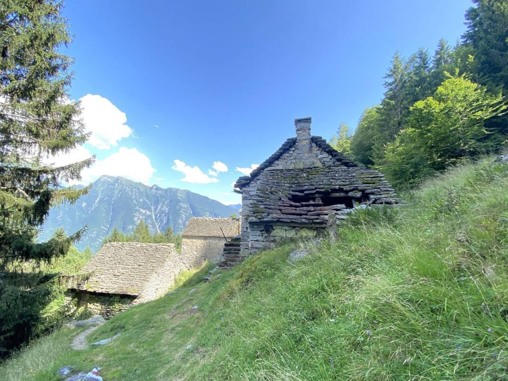 Rustico / casale a Crodo - Foto 5