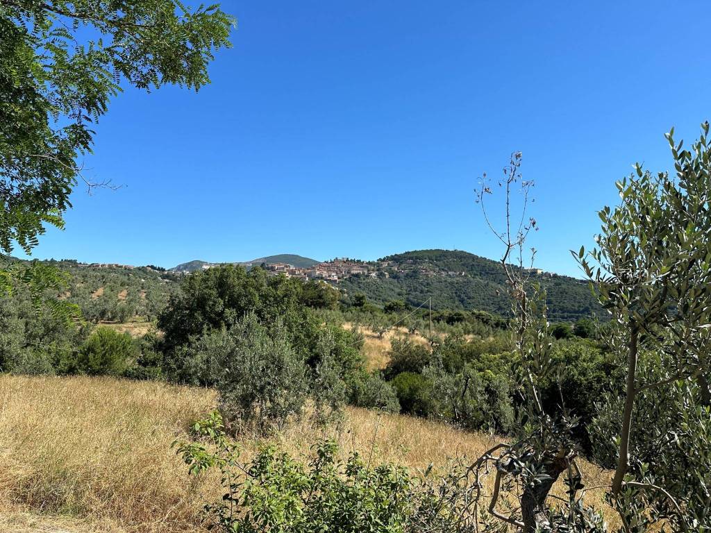 Rustico / casale a Campiglia marittima - Foto 4