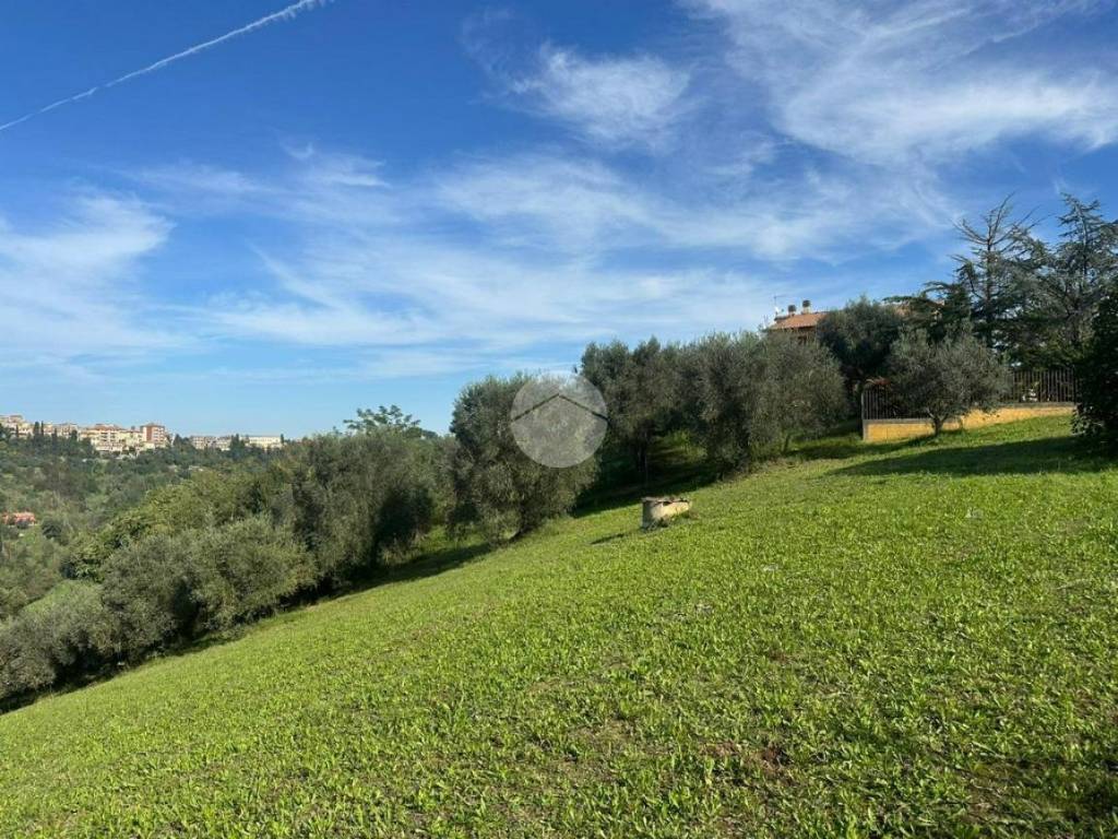 Terreno a Magliano sabina in Vocabolo Maonna del giglio - Foto 2