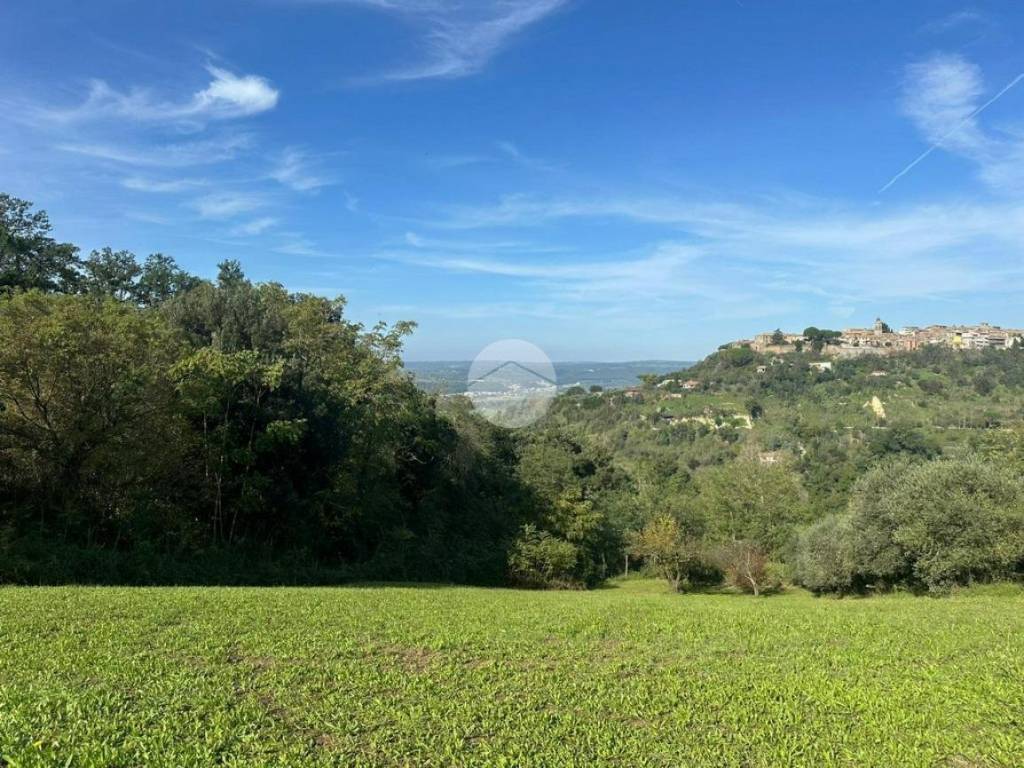 Terreno a Magliano sabina in Vocabolo Maonna del giglio - Foto 3