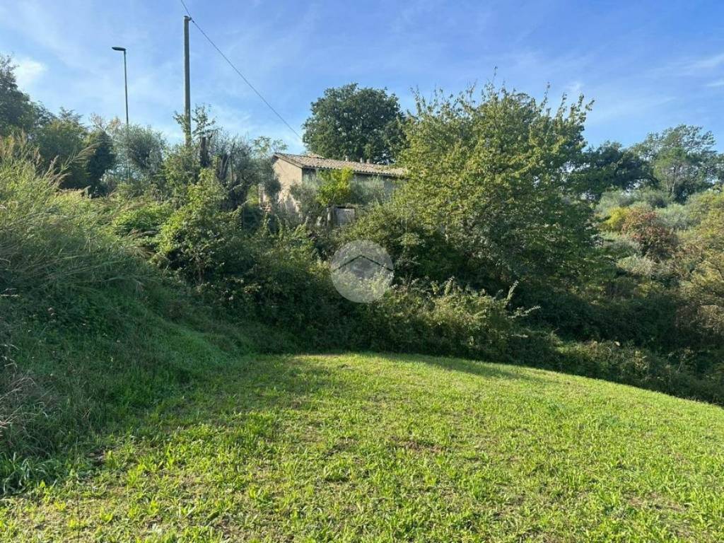 Terreno a Magliano sabina in Vocabolo Maonna del giglio - Foto 4