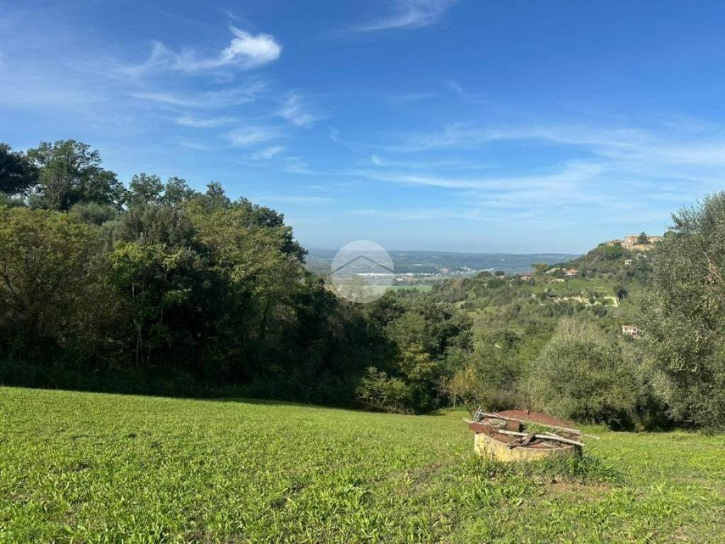 Terreno a Magliano sabina in Vocabolo Maonna del giglio - Foto 5