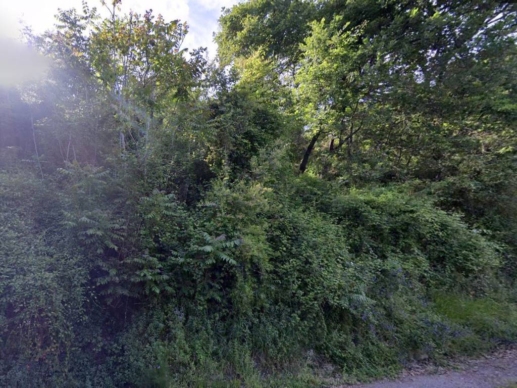 Terreno a Lamezia terme in da casturi - Foto 4