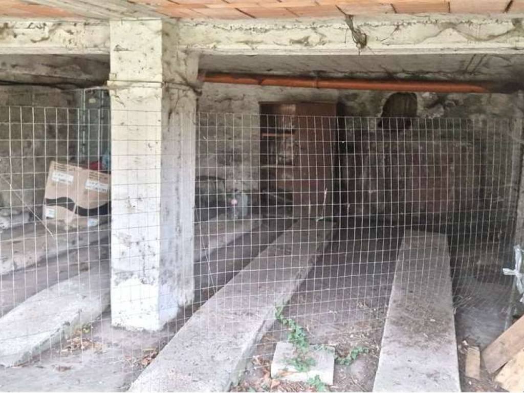 Immobile a Frosinone in VIA LIVIO DE CAROLIS , 1 - Foto 3