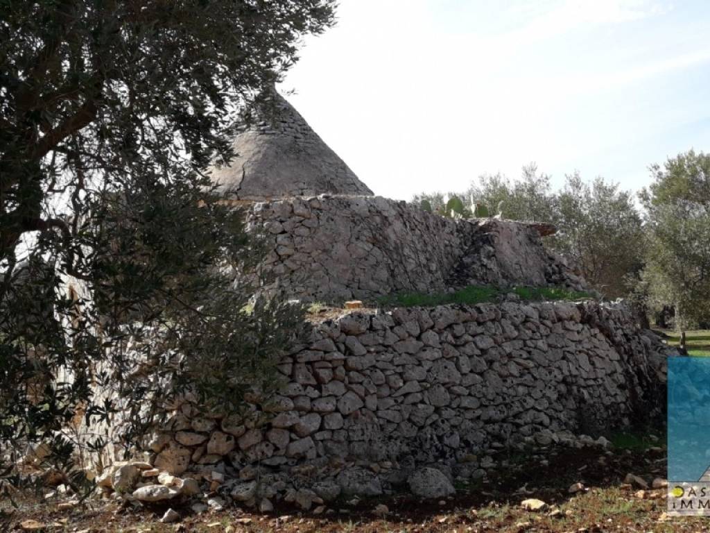 Rustico / casale a San vito dei normanni in Contrada Mastroronzo - Foto 4