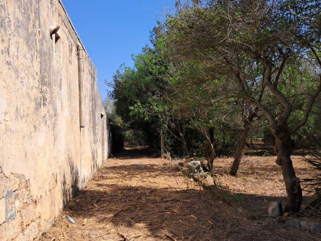 Rustico / casale a Galatina - Foto 3