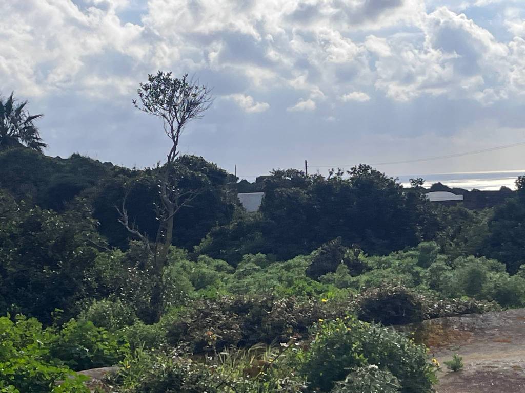 Rustico / casale a Pantelleria in Via Sant'Anna - Foto 3
