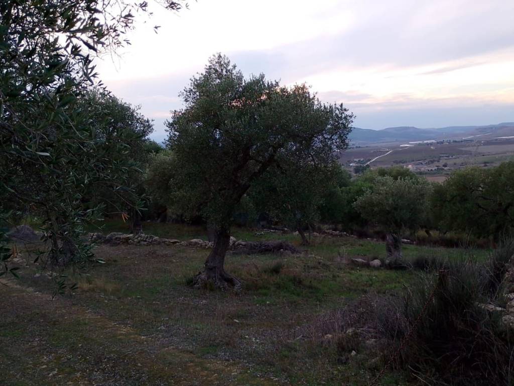 Rustico / casale a Matera in Contrada Pedale della Madonna - Foto 5