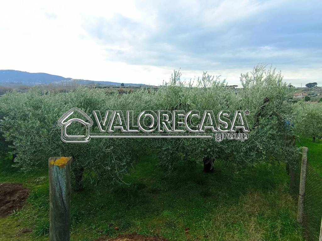 Terreno a Roma in Via della Lite, 24 - Foto 2