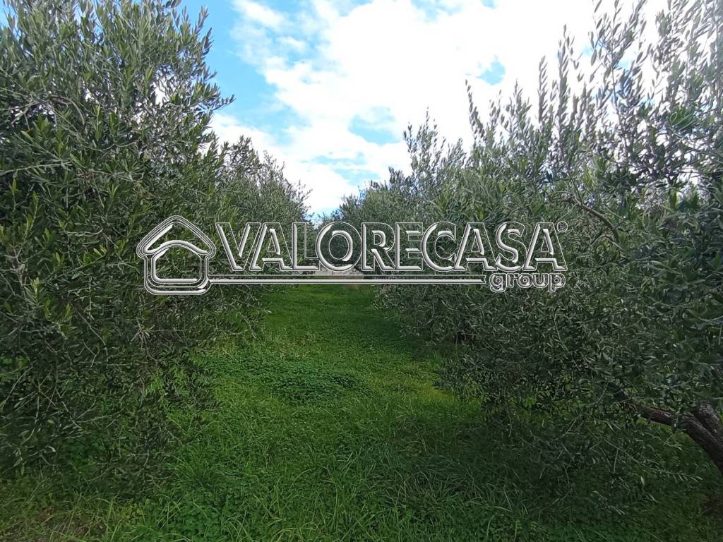 Terreno a Roma in Via della Lite, 24 - Foto 3