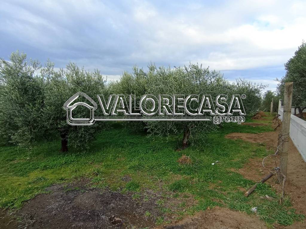 Terreno a Roma in Via della Lite, 24 - Foto 4