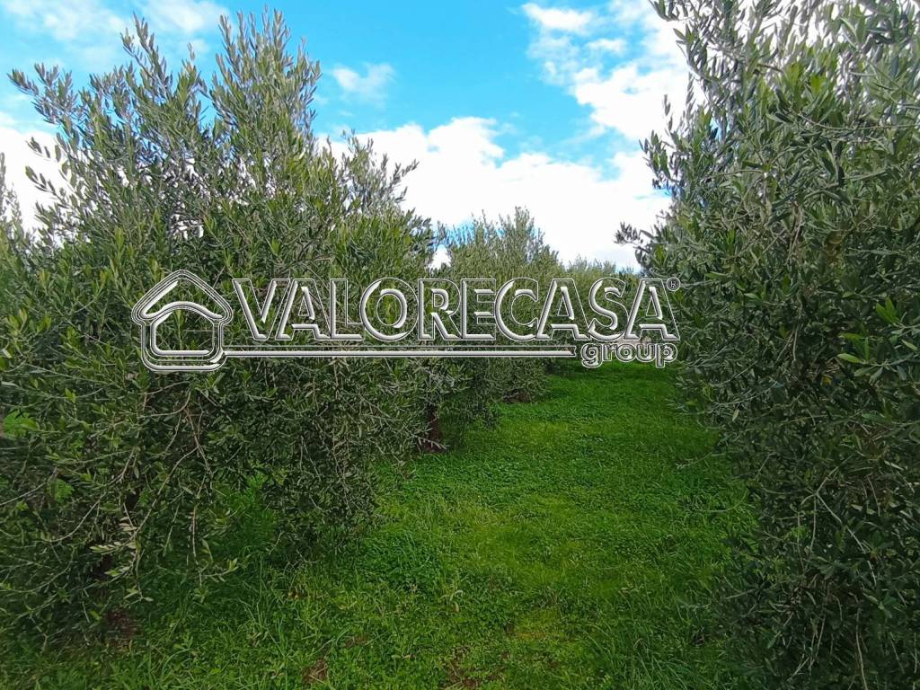 Terreno a Roma in Via della Lite, 24 - Foto 5