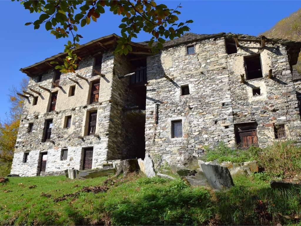 immagine di copertina