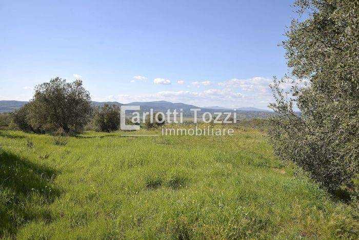 Rustico / casale a Campagnatico in GRANAIONE - Foto 2