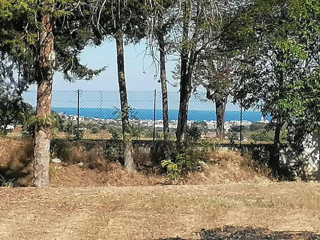 Terreno a Spoltore in Via Santa Lucia S.N.C. - Foto 2