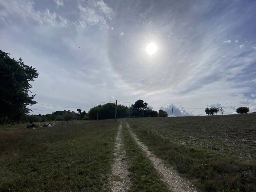 Terreno a Spoltore in Strada Statale 16Bis S.N.C. - Foto 2