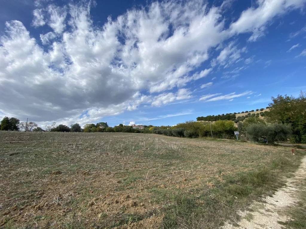 Terreno a Spoltore in Strada Statale 16Bis S.N.C. - Foto 5